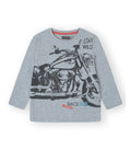 Camiseta Niño WILD gris claro