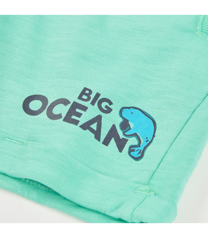 Green fleece shorts for boys