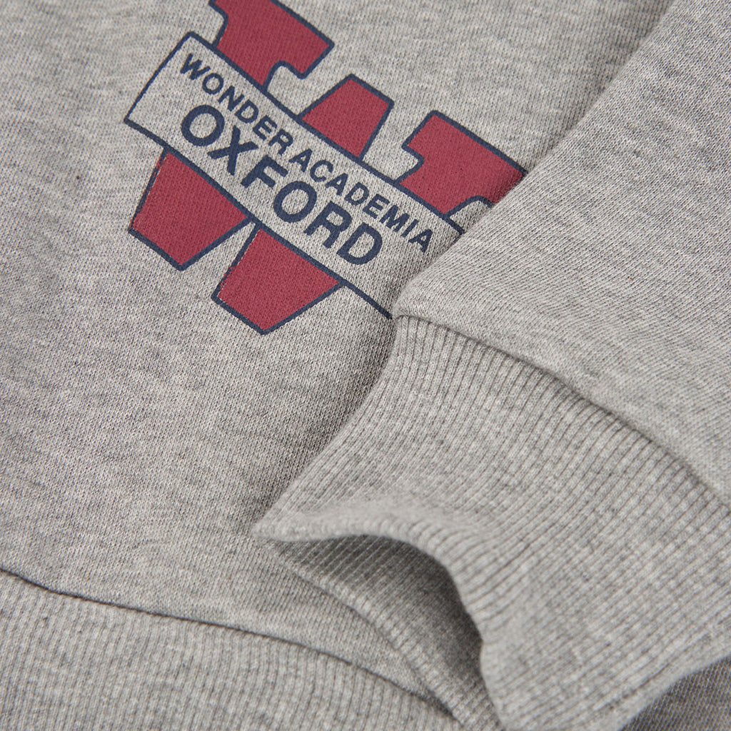 Sudadera Wonderacademia de  felpa para niño
