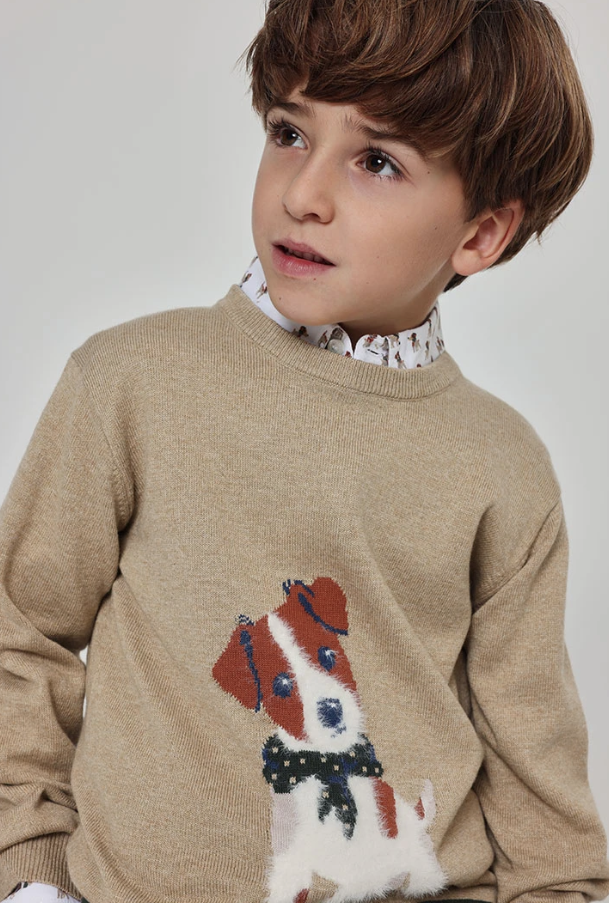 Jersey tricotosa de niño Dog
